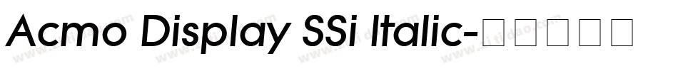Acmo Display SSi Italic字体转换